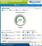Use Equity Line of Credit Payment Calculator